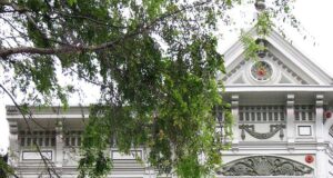 REITs in Recession: Historical Data restrained elegance
